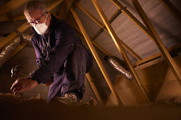 Best Insulation Installation Services in Bicknell, IN